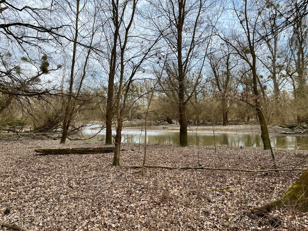 23-02-18 15-01-17 4263